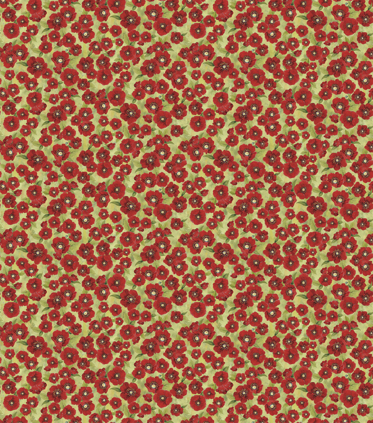 Red Trucks and Bicycles Poppy Cotton Fabric